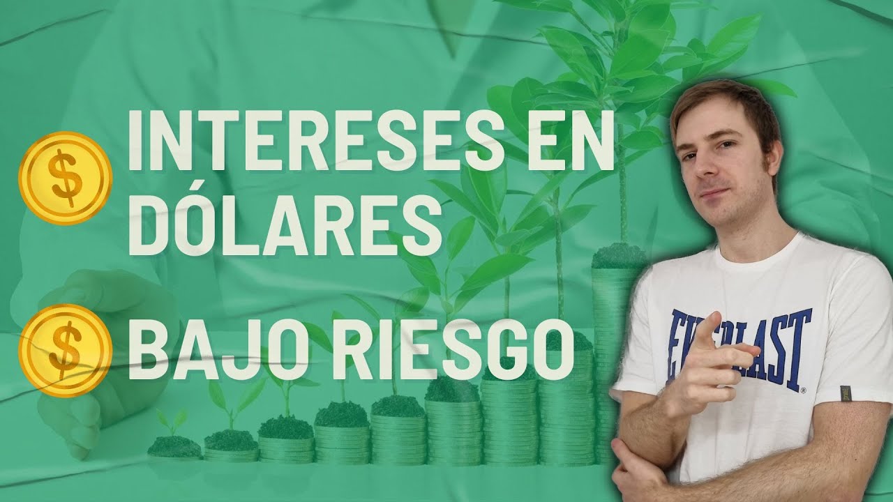 6 obligaciones negociables - Las mejores