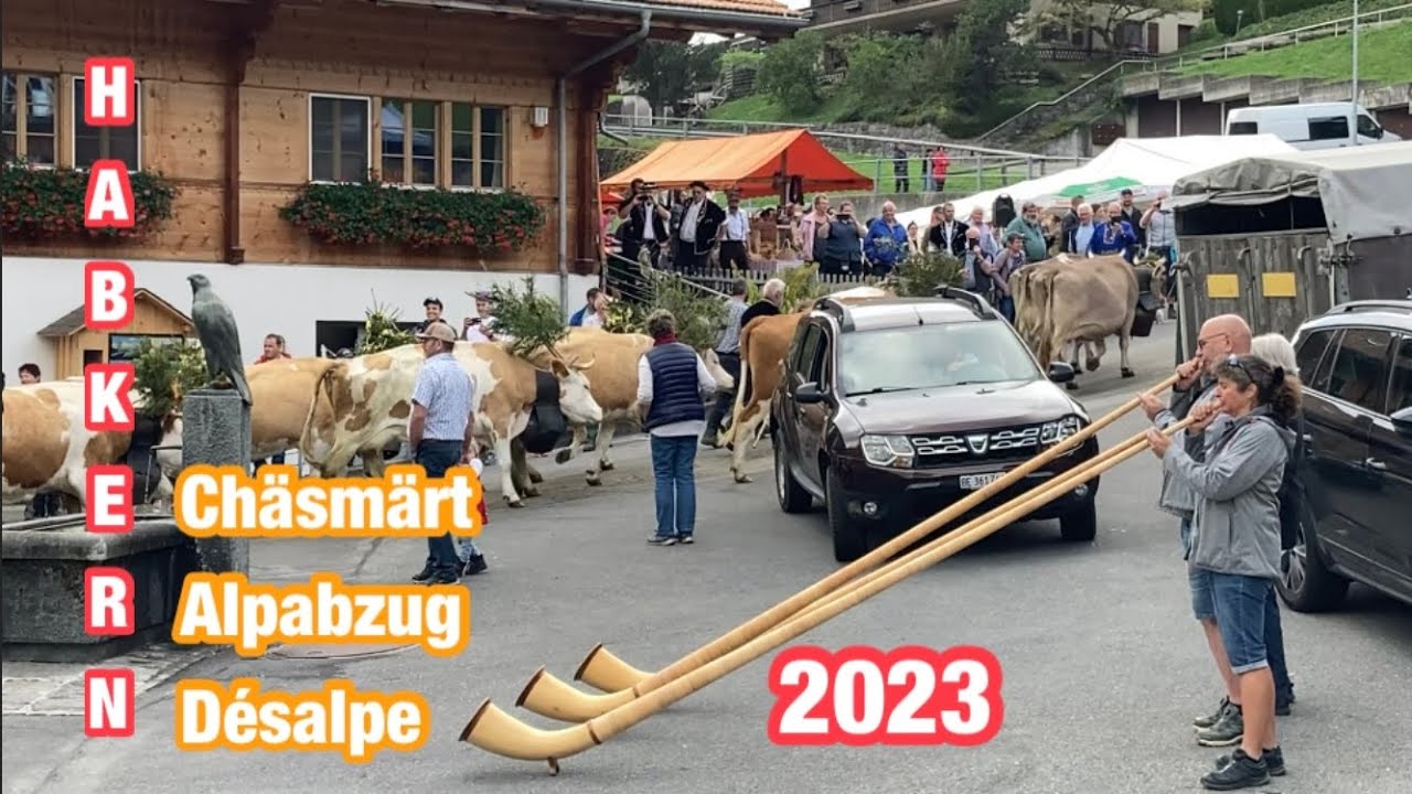 Chäsmärt - Alpabzug - Désalpe - Habkern