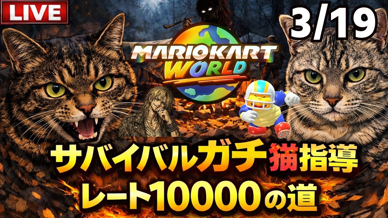 【マリオカートワールド】父親が飼い猫に指導されながらサバイバル野良レート10000目指す！準備中8900位～