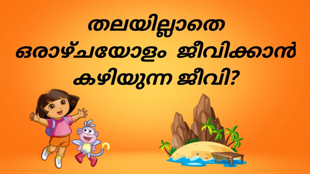 General Knowledge /Gk/psc/Malayalam /Questions &Malayalam / പൊതുവിജ്ഞാന ചോദ്യങ്ങൾ 