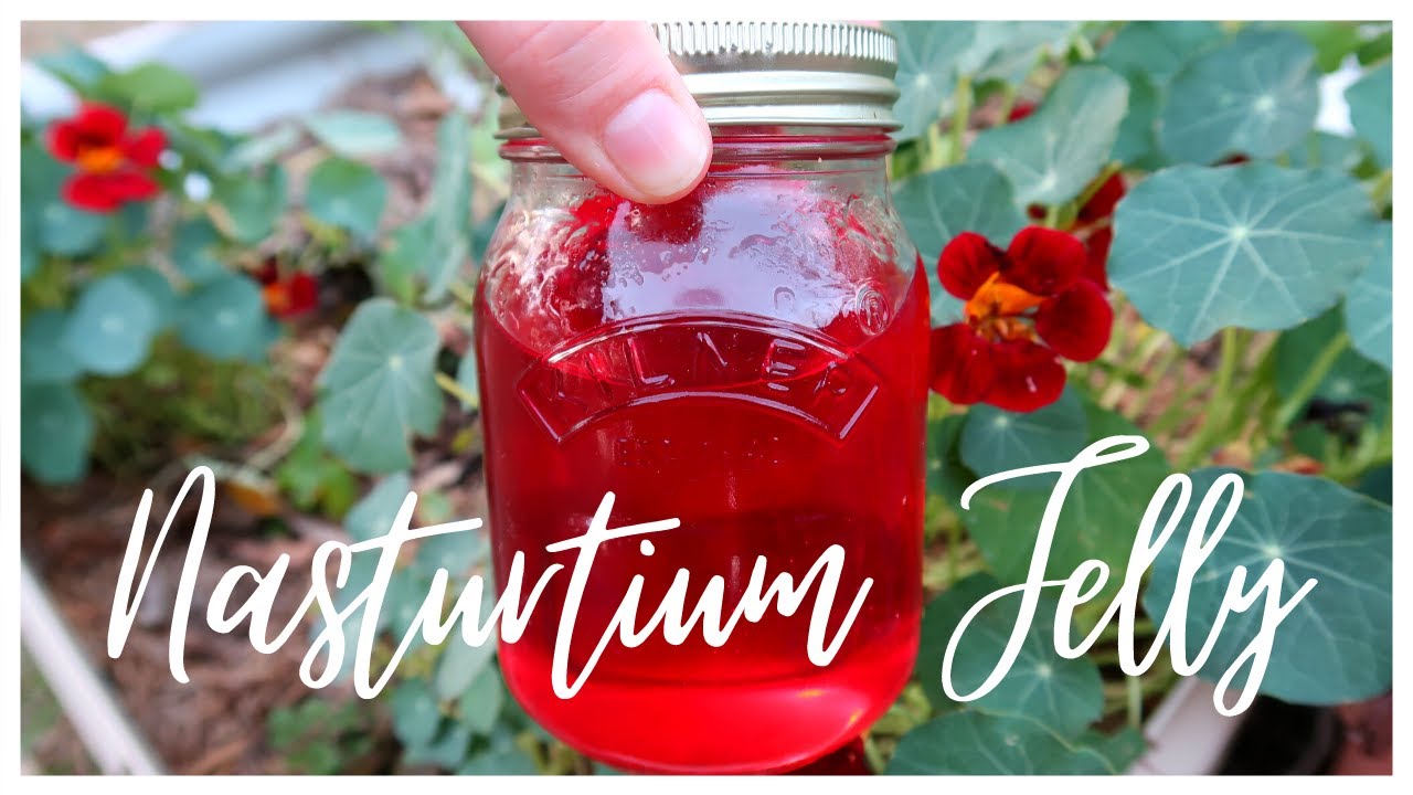 Nasturtium Jelly Recipe | Super Easy Flower Jelly