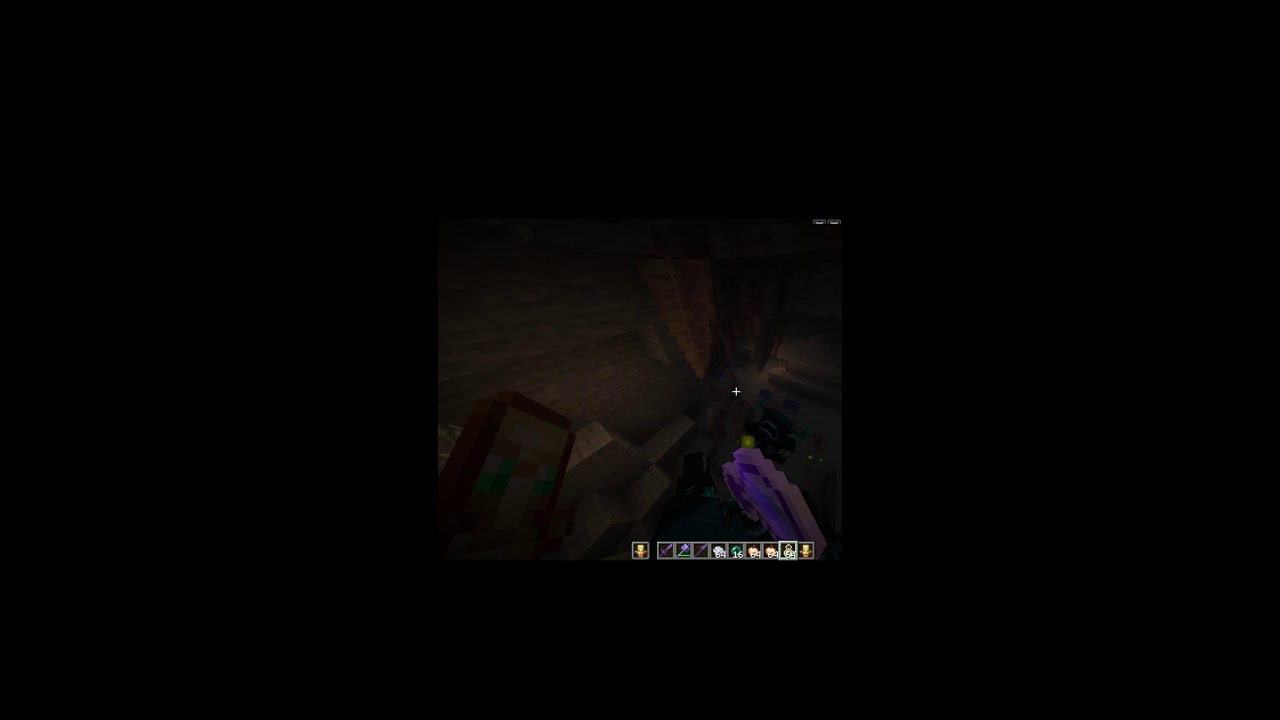 I WILL FIGHT WITH 99999 WARDENS AND I AM 1 IN MINECRAFT