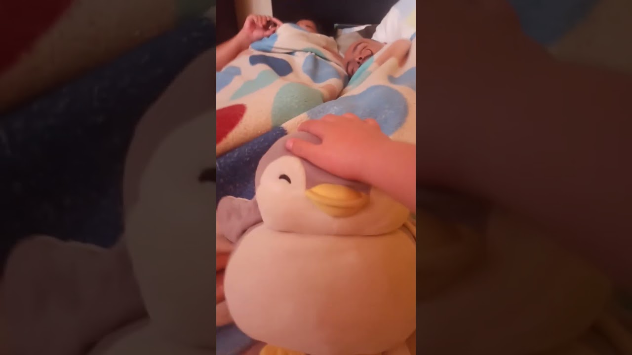el ping&uuml;ino de miniso 🐧🐧🐧🐧🐧