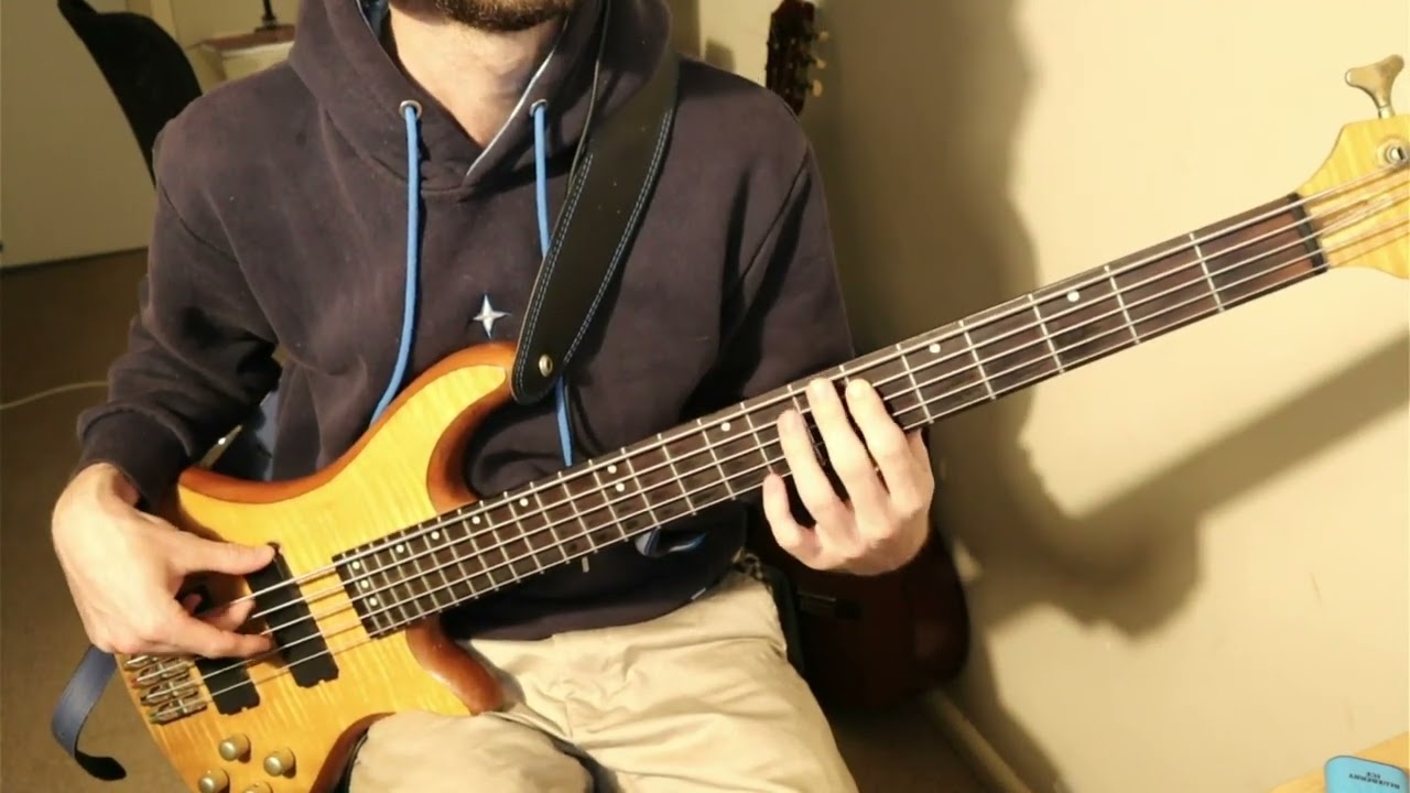 Sia - Soon we'll be found (Bass Cover)