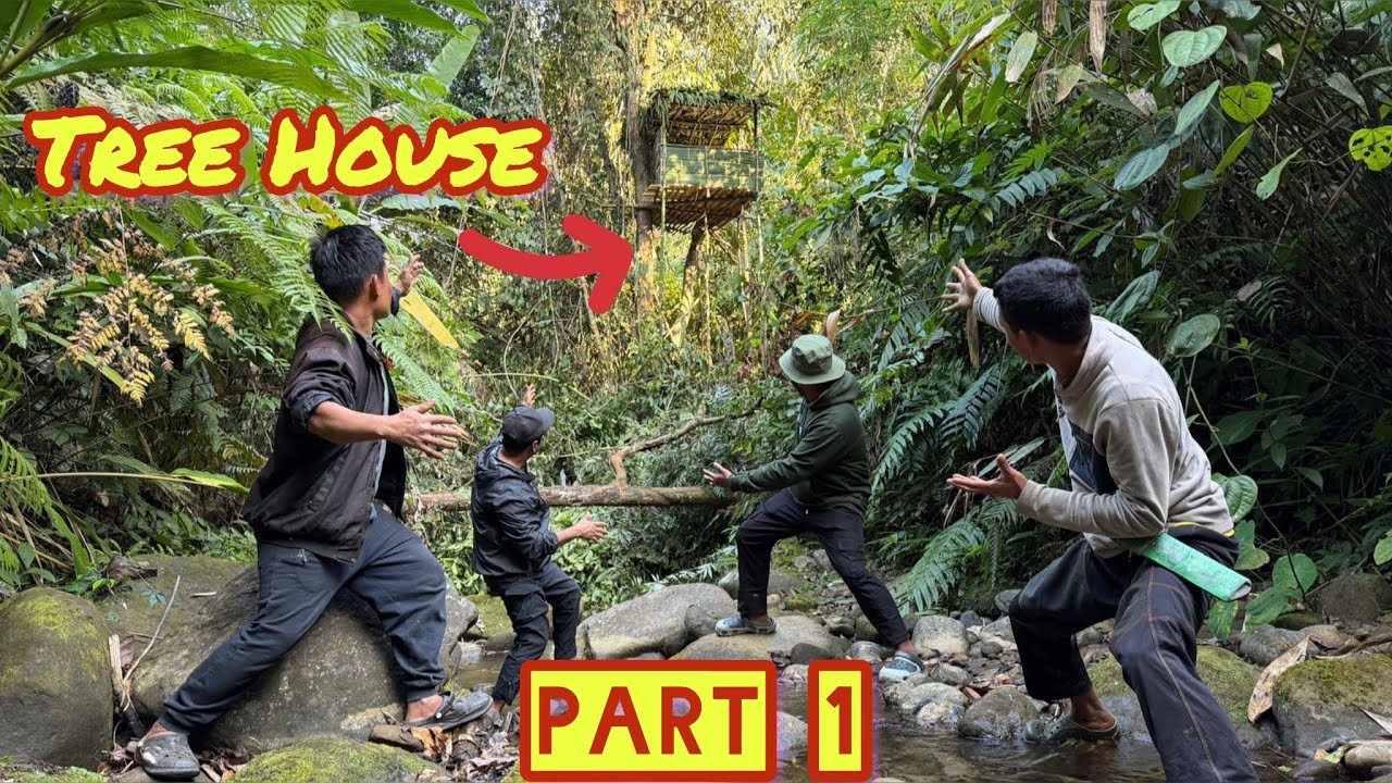 The Amazing Tree House l Part - 1