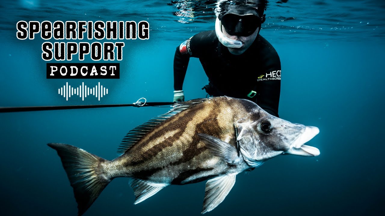 How Much Weight for Spearfishing? (Spearfishing Support Ep.2)
