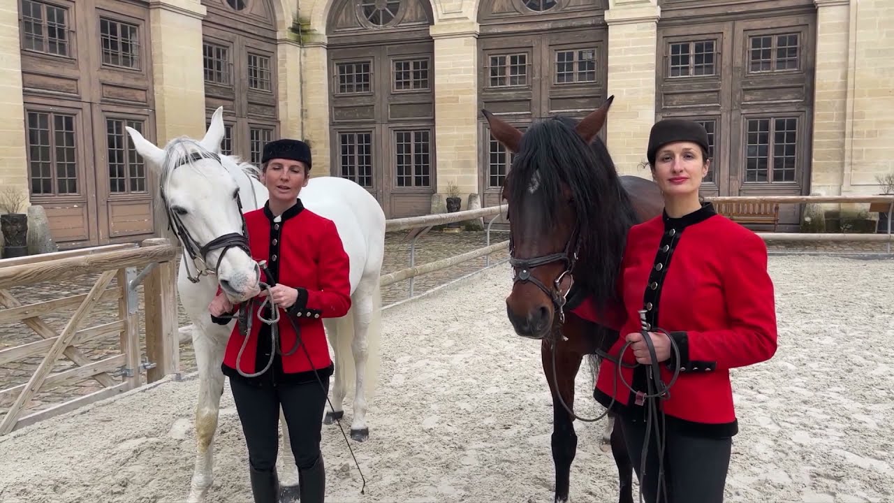 Le travail aux longues rênes