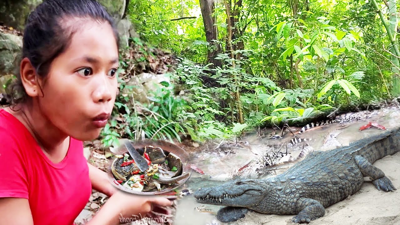 OMG Crocodile! Finding Crocodile and pick up some Eggs for survival cooking, Eating and more Videos