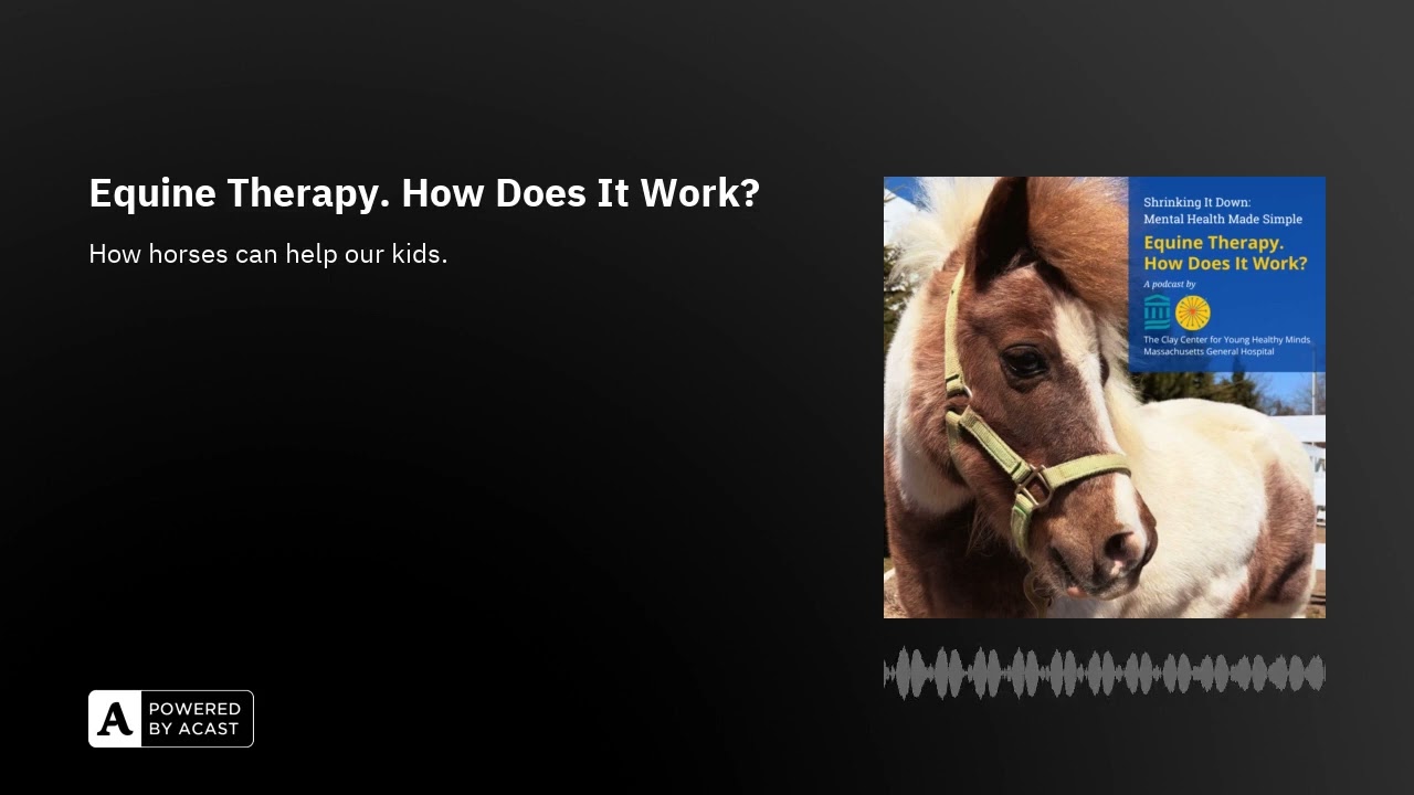 Equine Therapy. How Does It Work?