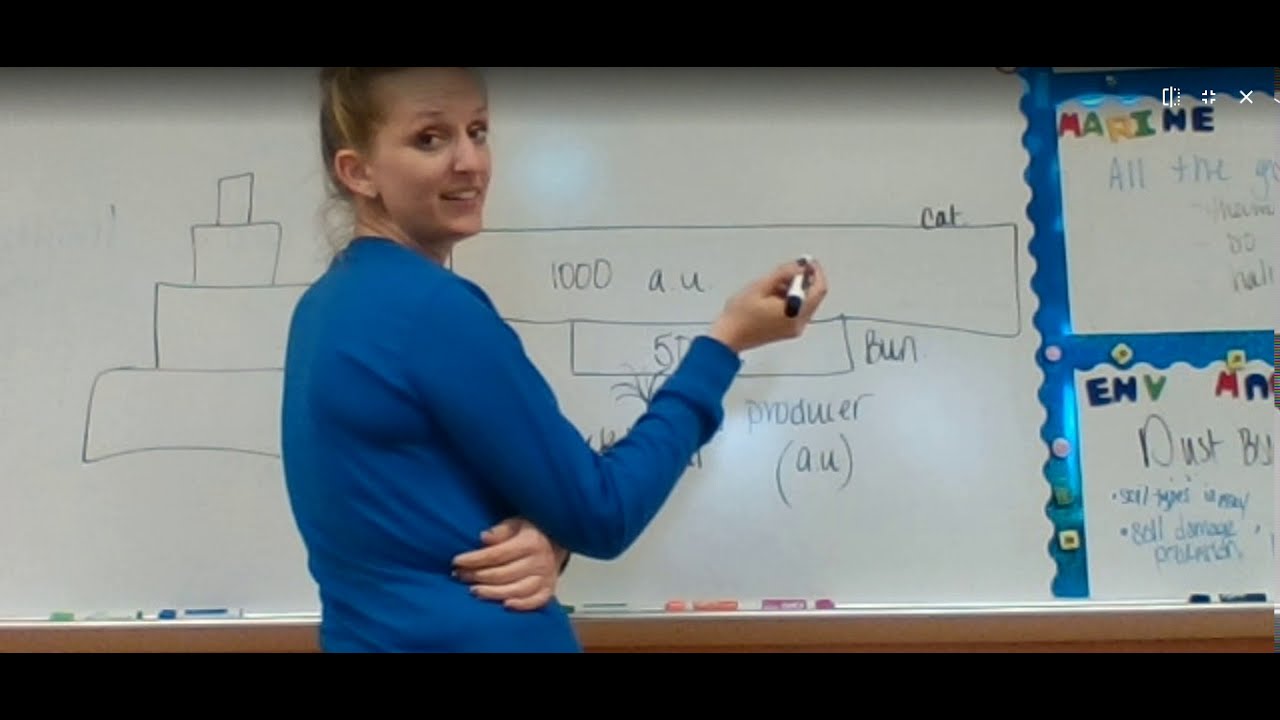 Physical & Chemical Oceanography: AICE Marine Science AS: Ch.7