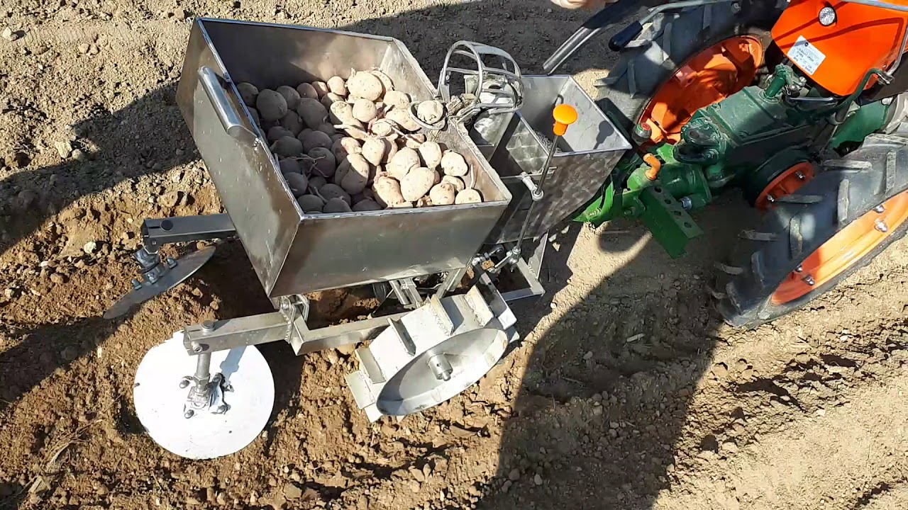 Goldoni labinprogres potato seeder ,sadilica krumpira