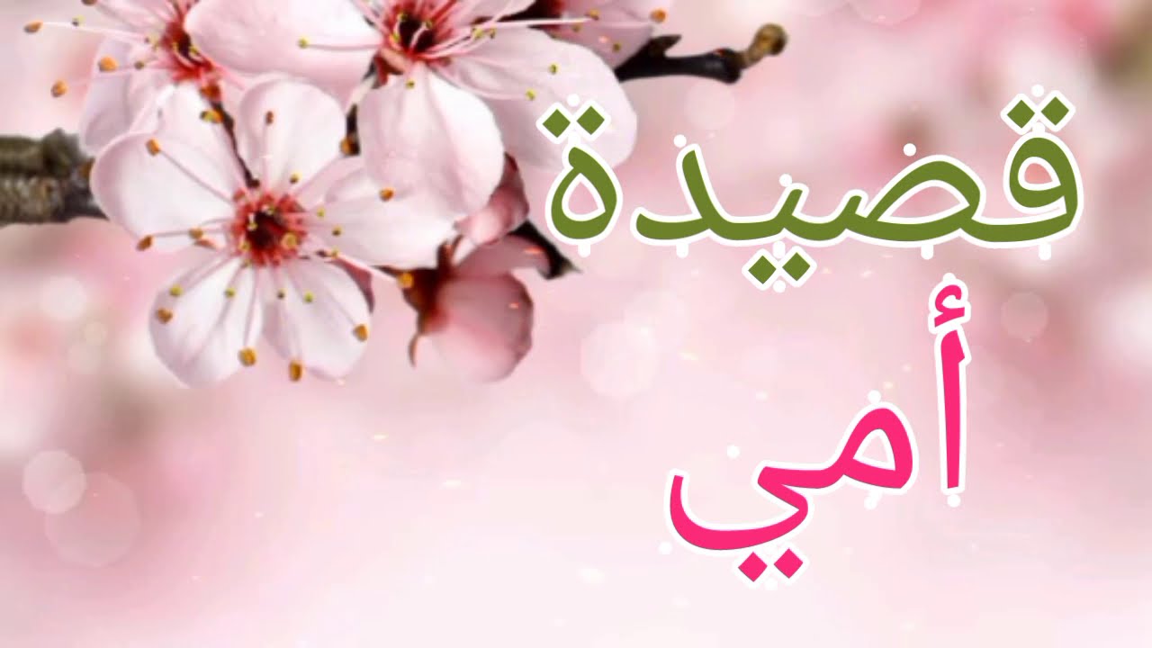أمي _ شعر عن الأم _ احبك يا أمي عيد الأم 🎁 أنا مهما كبرت يا أمي ❤️