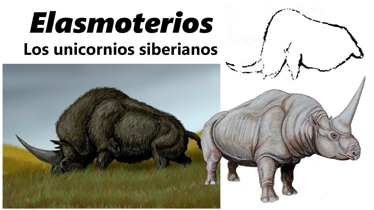 Elasmoterios. Descubre a los unicornios de Siberia