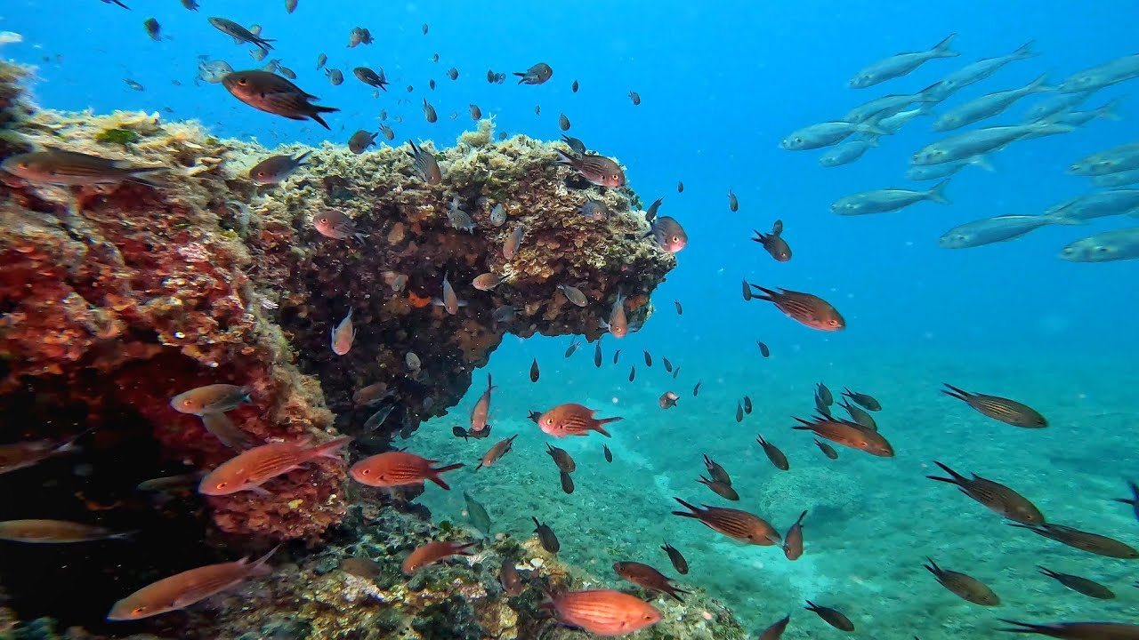 Pula Underwater, Croatia 07/2024 - UHD 4k