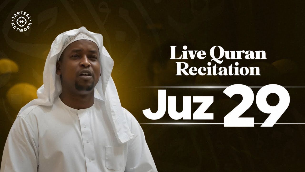 Juz 29 | Divine Serenity Quran Recitation | Immunity from grave trials | جزء تبارك