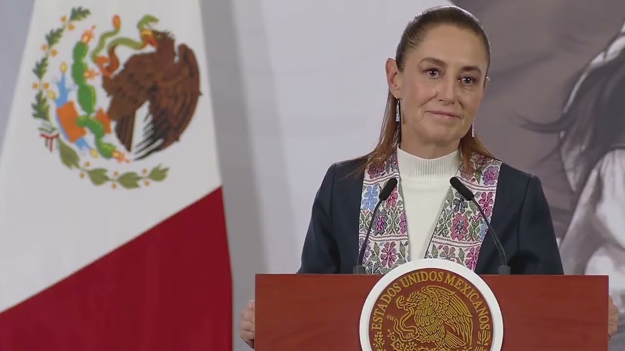 ¿En qué consiste la iniciativa de Reforma Electoral? | Reportaje