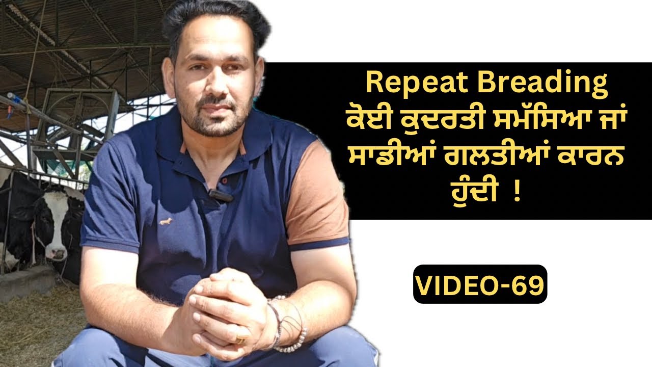 Repeat Breading is also a disease, how can it be avoided? Ardaas Farm Around
