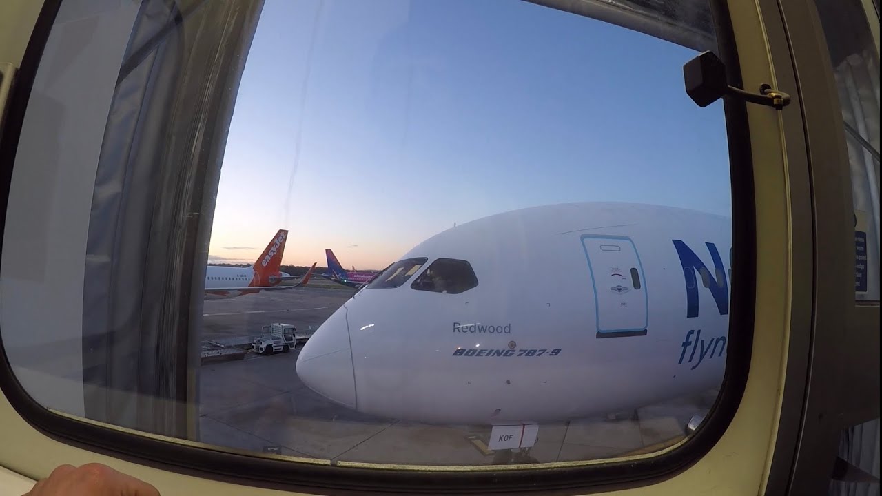 Early morning 787 Offload - Ramp Agent POV
