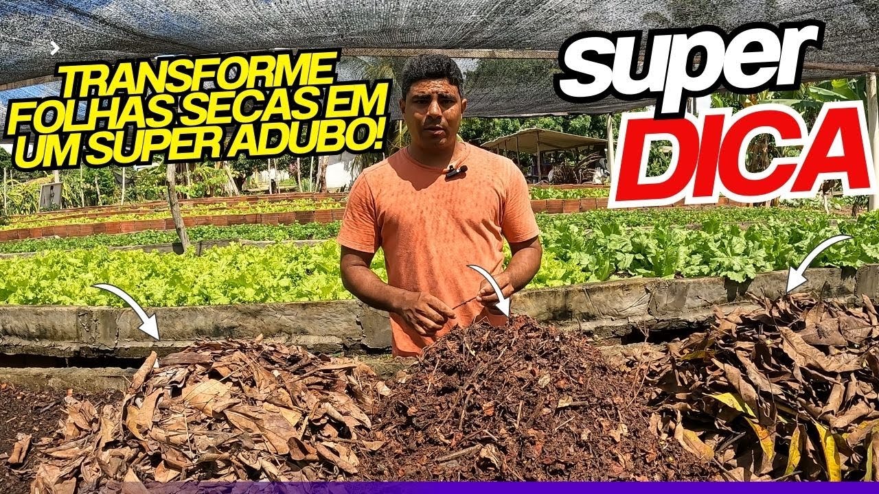 Folhas Secas na Horta: O Segredo para Hortaliças Mais Saudáveis! 🍂🌱