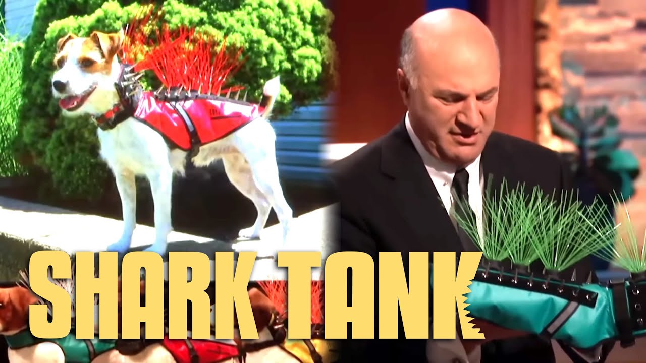 Protect Your Pooch With Coyote Vest! | Shark Tank US | Shark Tank Global