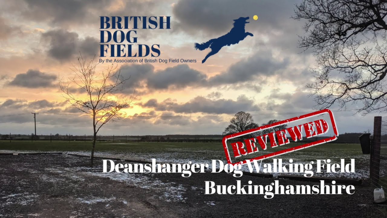 Deanshanger Secure Dog Walking Field Buckinghamshire