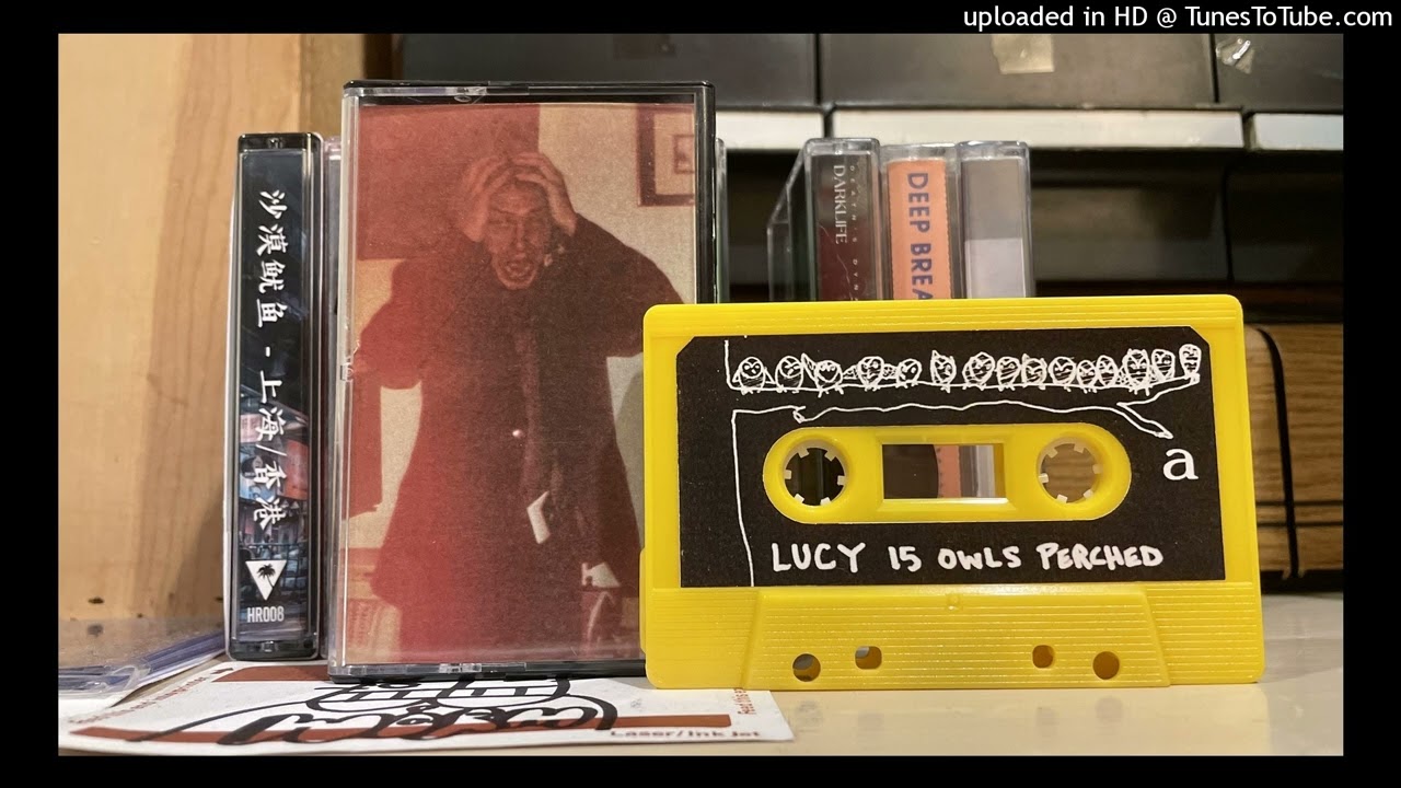 LUCY (Cooper B. Handy) - 15 Owls Perched [CASSETTE RIP, SIDE B]