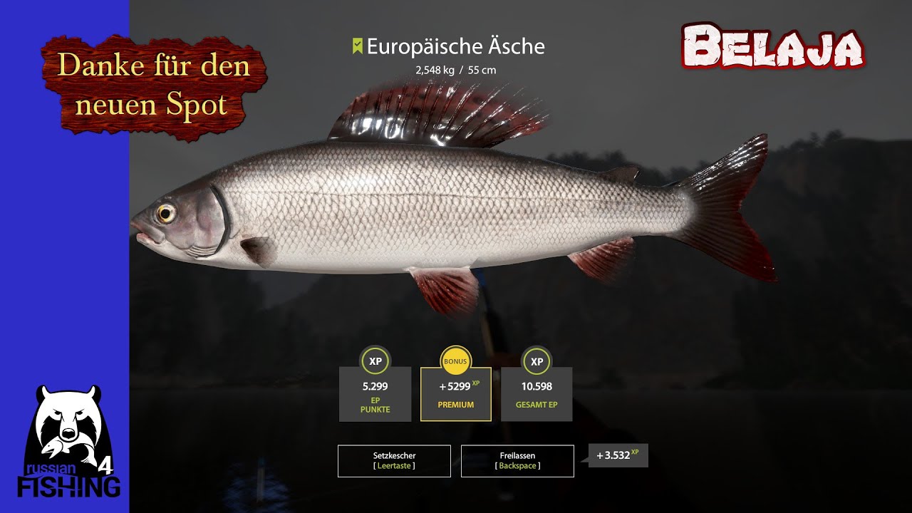 RF4 – Danke für den Spot – Belaja- Russian Fishing 4