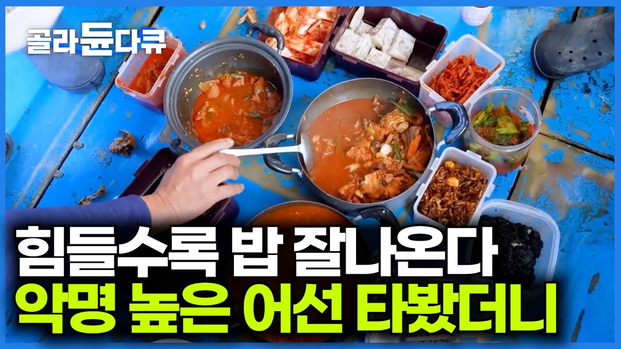 밤낮없이 일해야하는 새우잡이. 밥은 잘나오는지 봤더니｜젓새우잡이｜극한직업｜#골라듄다큐