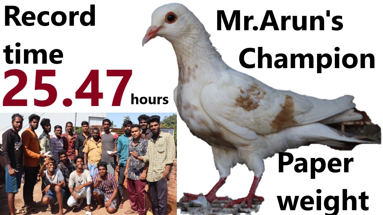 Mr.Arun - Record time 25:47 hrs