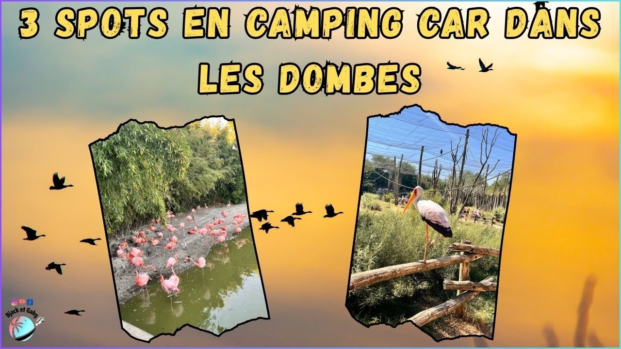 Étapes Immanquables en camping car #76 #campingcar #voyage #spot #oiseaux #djacketgaby #dombes