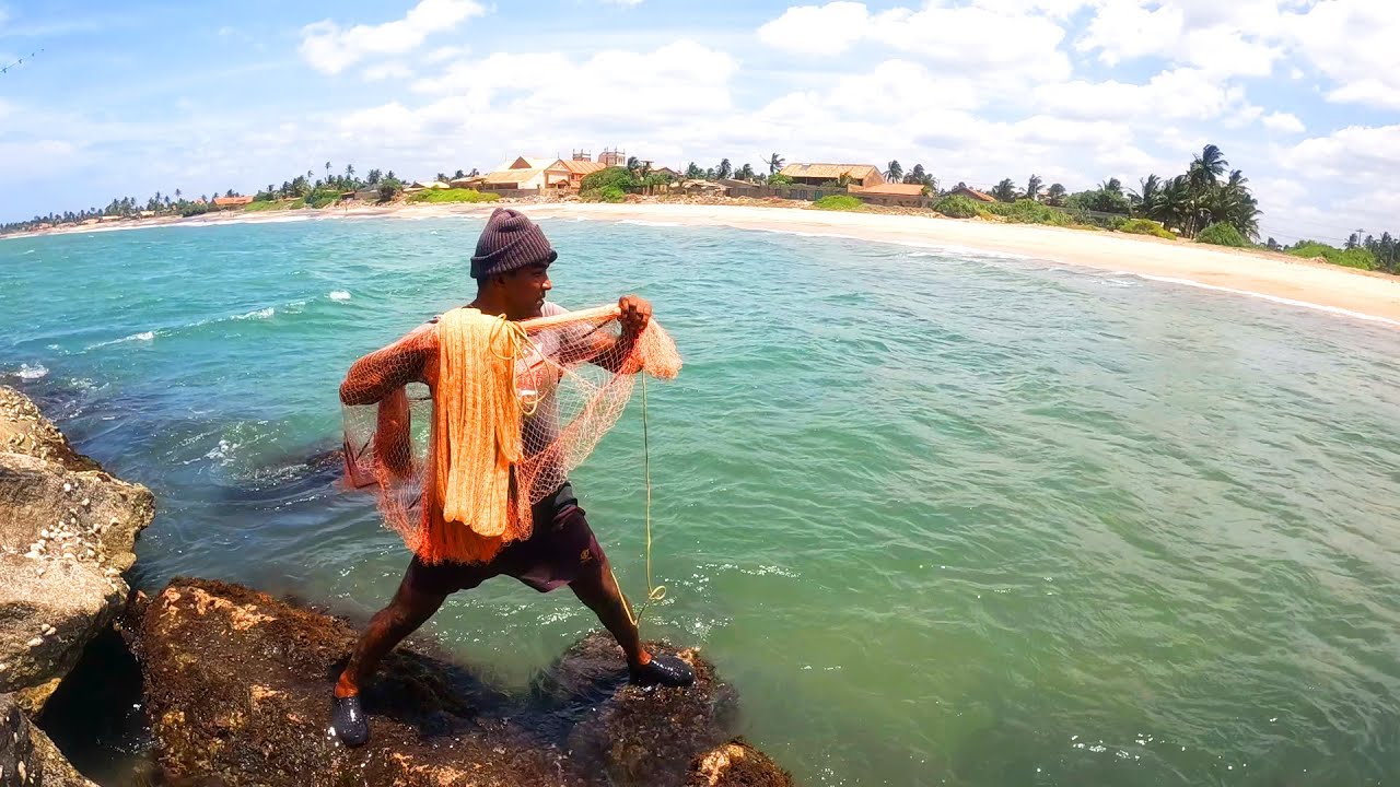 MOST SATISFYING CAST NET FISHING | FISH CATCHING IN SEA