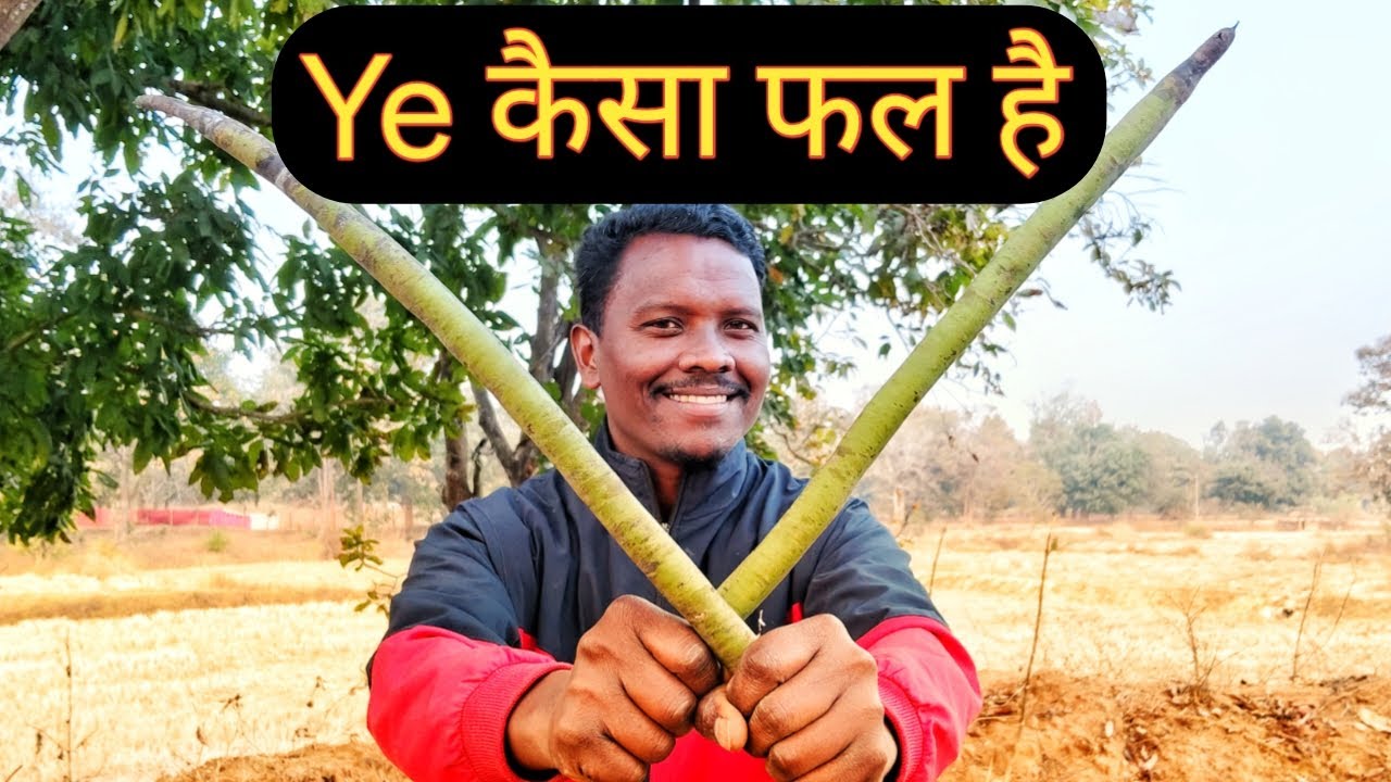 ये कैसा फल है नाम बताइए // The Forest Life 