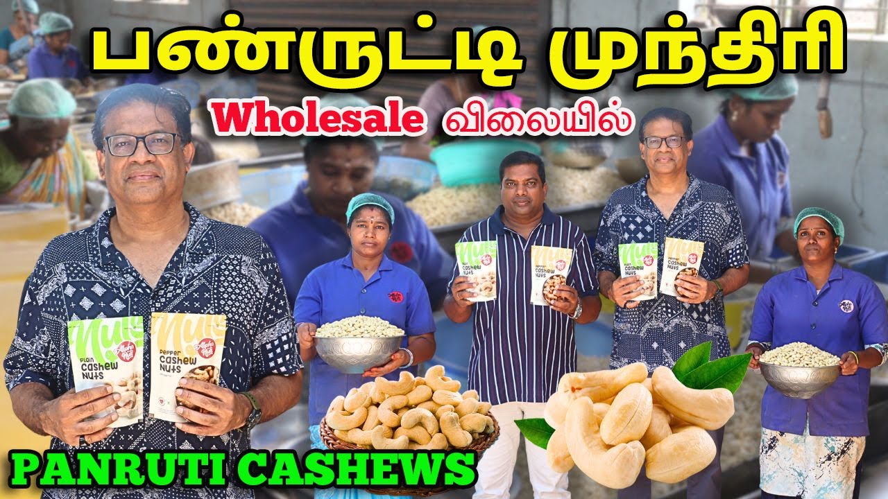 பண்ருட்டி முந்திரி Cashews At WHOLESALE Prices | premium quality cashews | Cashews factory