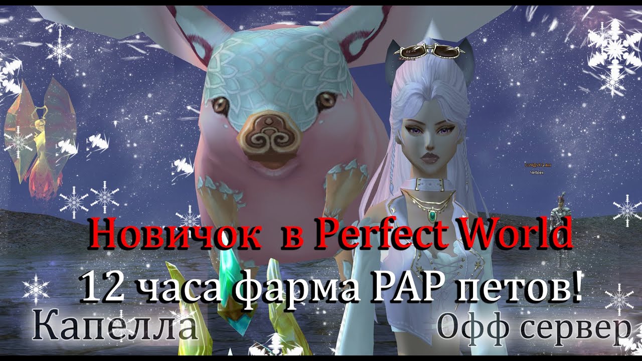12 часов охоты на РАР петов! СТАВИМ ШПИОНА И СЛЕДИМ! Соло друид  без доната в  Perfect World