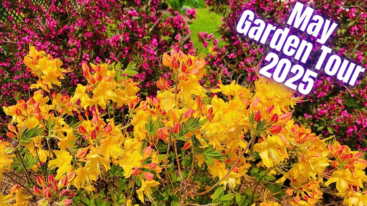 May 2025 Garden Tour | Spring Blooms With Plant Names