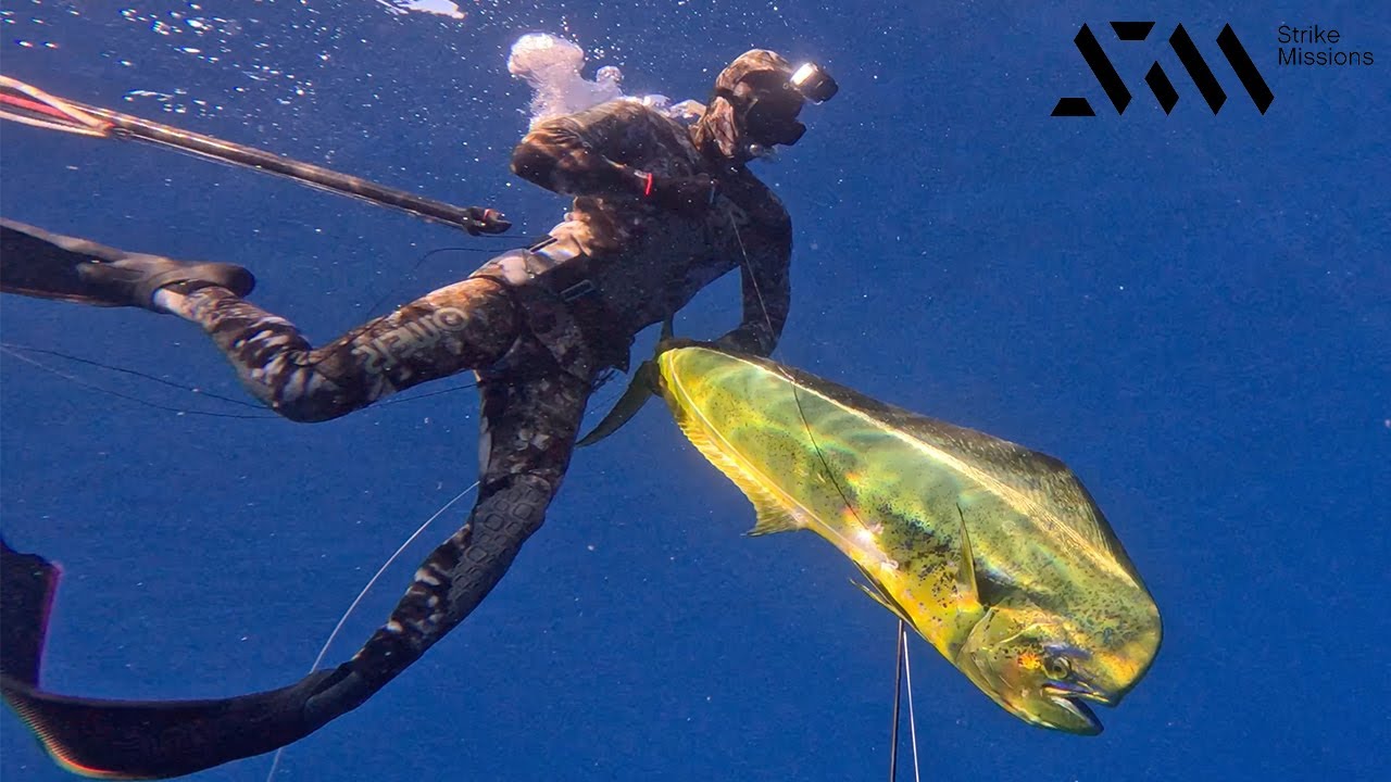 Bluewater Diving With Kimi Werner, Eli Olsen, & Maddix Alotis for Ono, Mahi, & Uku!