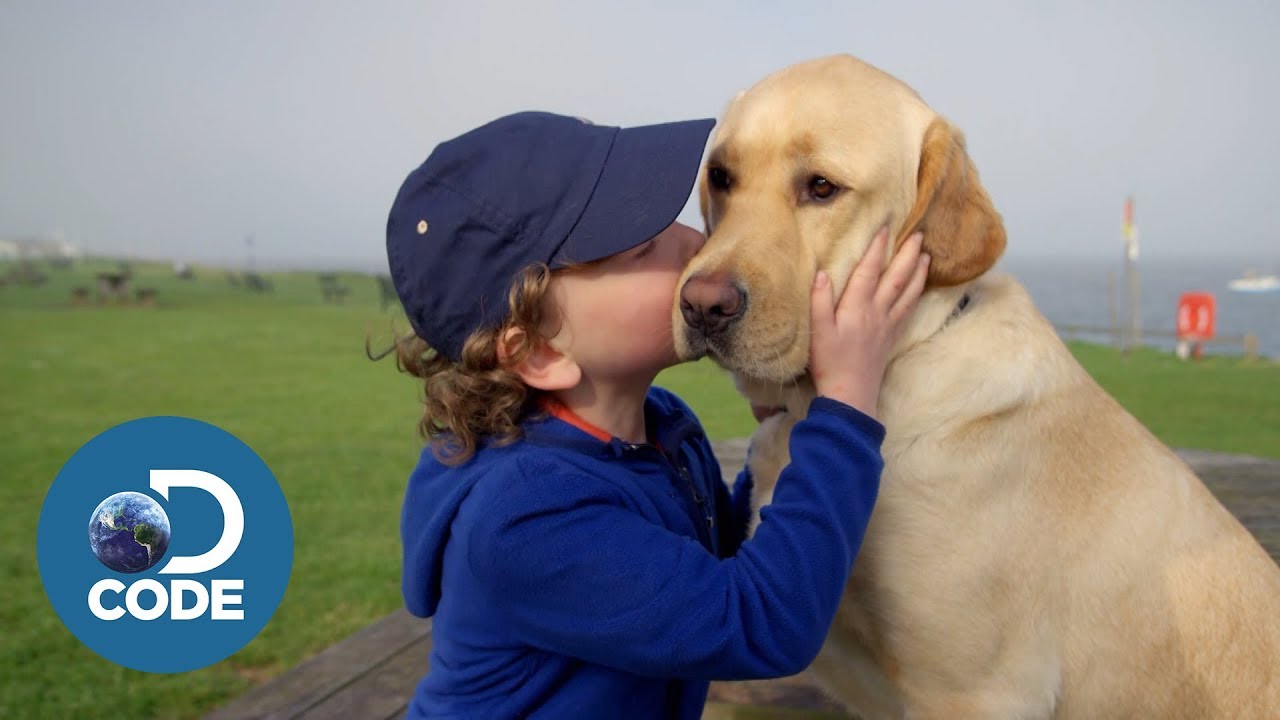 Archie and his Best Friend and Lifesaving Dog Domino