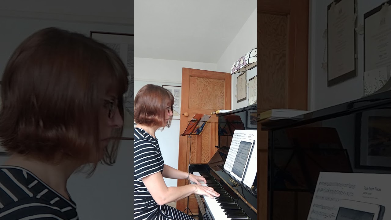 Hypnosis, By Ian Clarke. Piano part only. Grade 8 flute ABRSM B3.
