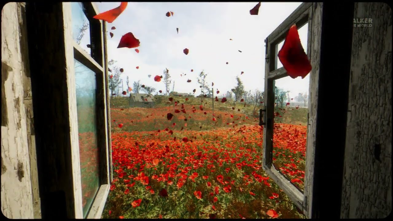 Poppy Field in the Chernobyl Exclusion Zone. S.T.A.L.K.E.R. 2
