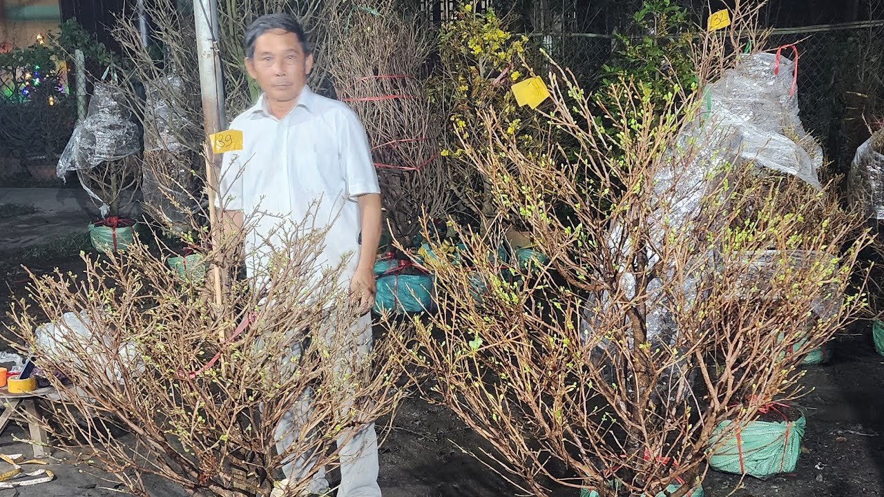 3/3 mai giảo thủ đức alo 0366.404.909 bao ship toàn quốc