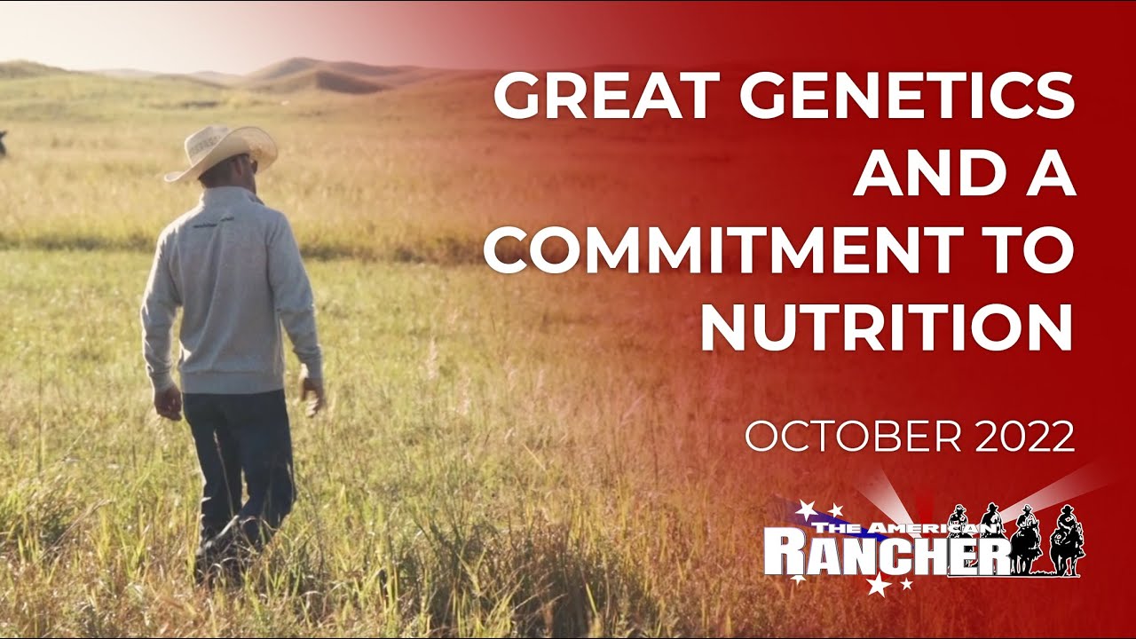 Great Genetics, and a Commitment to Nutrition | The American Rancher