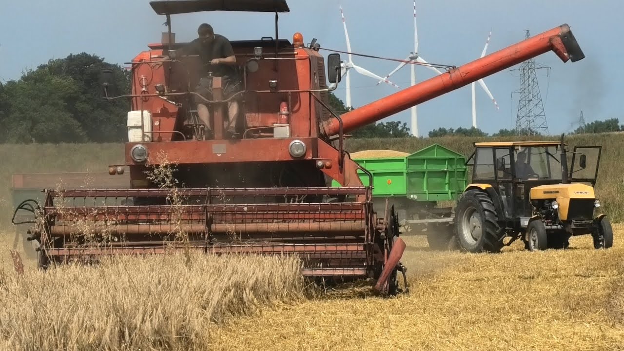 Pierwsze zboże i Bizon z solidnej stali