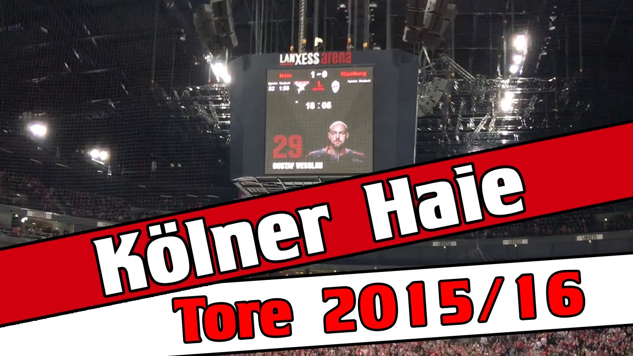 Kölner Haie | Tore 2015/16 | Südkurve | Teil 2 von 2