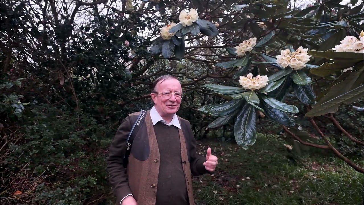 Burncoose Gardens this Easter Weekend
