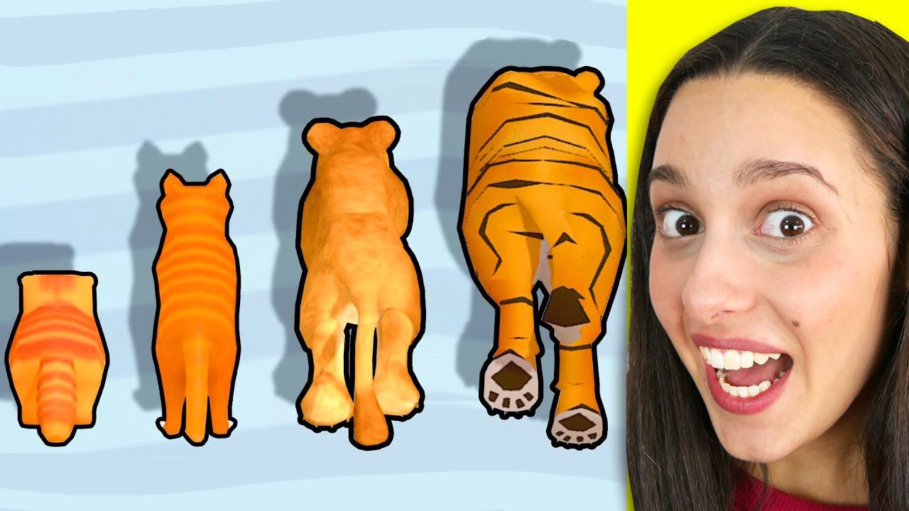 INGRANDISCI IL GATTO PER VINCERE - CAT EVOLUTION