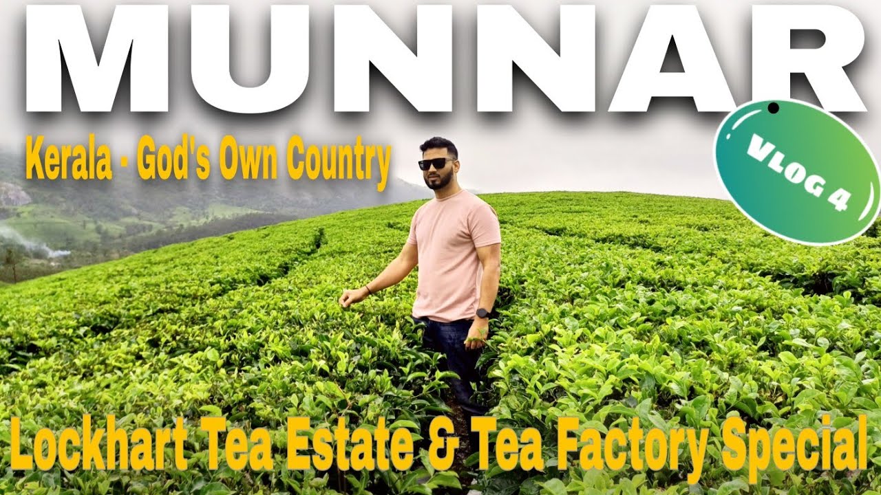 Munnar | Kerala Vlog 4 | Lockhart Tea estate & factory | Explore with Paulsky