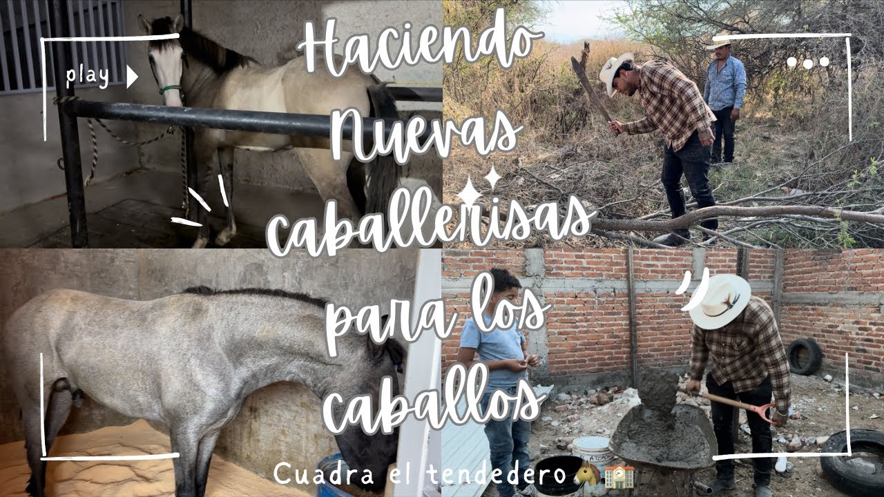 Nuevos corrales para los caballos😱!!!