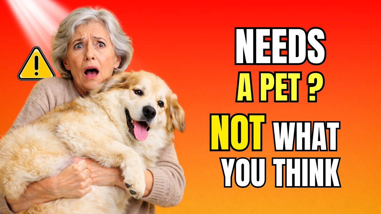 Why Every Senior Living Alone Needs A Pet (It’s Not What You Think)
