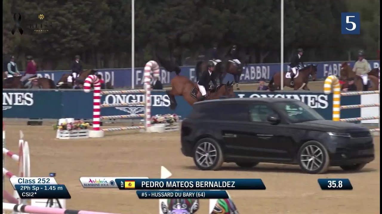HUSSARD DU BARY (Bassano / Lux Z) 2017 Gelding - CSI** Sunshine Tour - 145 class 2 - February 2026