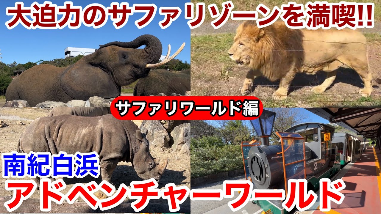 【白浜観光】ケニア号＆ウォーキングで大迫力のサファリゾーンを満喫♪ 南紀白浜 アドベンチャーワールド サファリワールド編